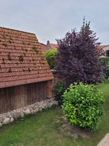 Ferienwohnung in Heiligenhafen - Fewo Todeskino "Strandgut" - Weiterer Blick von oben in den Garten