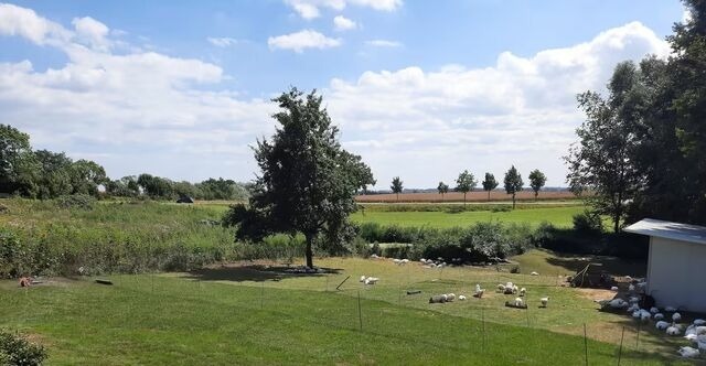 Ferienwohnung in Klaustorf - Landliebe - Bild 3