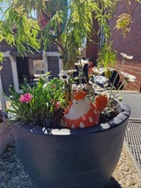 Ferienwohnung in Fehmarn - Haus Fehmarn am Dorfteich | Wohnung 1 Süd - Bild 14