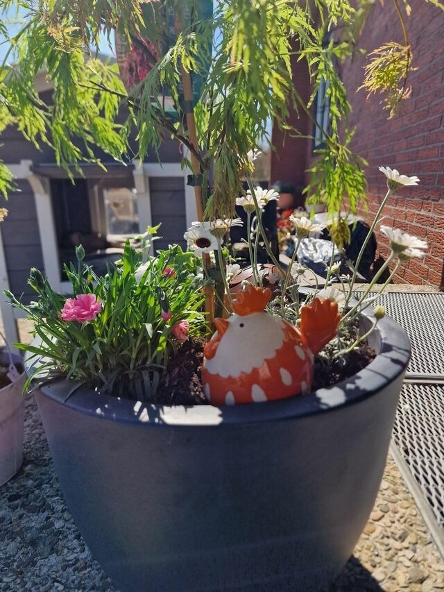 Ferienwohnung in Fehmarn - Haus Fehmarn am Dorfteich | Wohnung 1 Süd - Bild 14