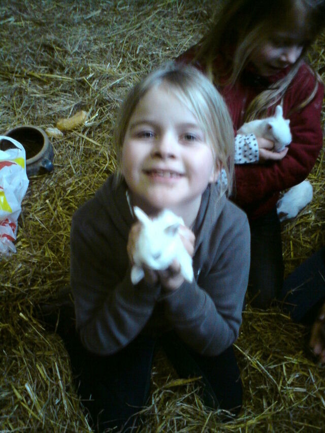 Ferienhaus in Gr&ouml;mitz - 90 qm Schwedenhaus - Bild 7