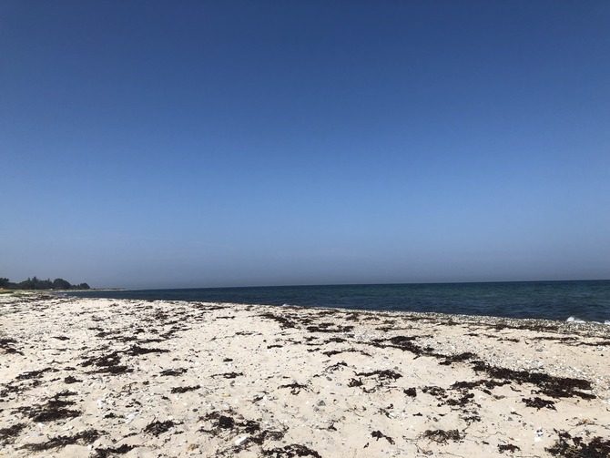 Ferienhaus in Fehmarn OT Gammendorf - Feriendomizil SeeSand 2 - Gammendorfer Strand