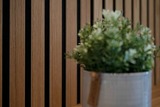 Ferienwohnung in Gr&ouml;mitz - Residenz am Kurpark- Wohnung 5 - Bild 23