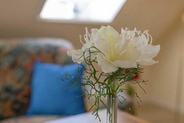 Ferienwohnung in Kellenhusen - Lindenbuschen 2 Wohnung 7 - Bild 10