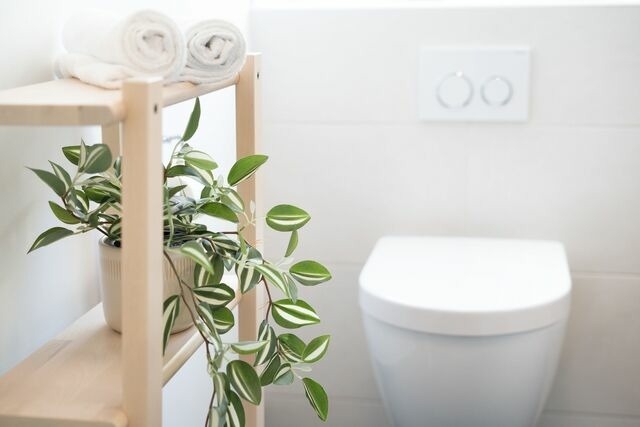 Ferienwohnung in Gr&ouml;mitz - Haus im Gr&uuml;nen Wohnung 2 - Bild 21