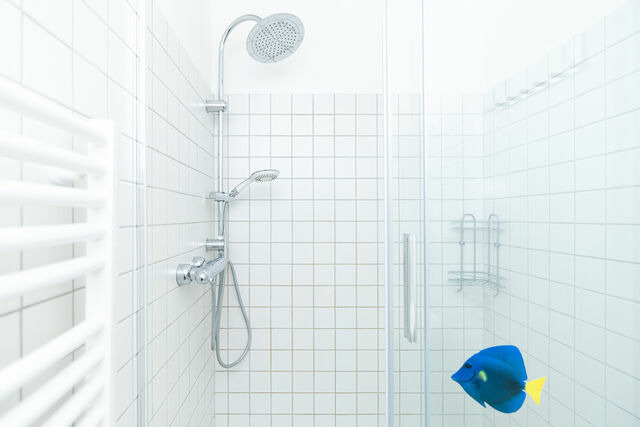 Ferienwohnung in Wendtorf - Marina Wendtorf Schwalbennest - Bild 21 Ferienwohnung in Wendtorf - Marina Wendtorf Schwalbennest - Bild 21