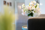 Ferienwohnung in Kellenhusen - Kirschgarten Steife Brise - Bild 15