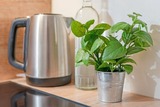 Ferienwohnung in Timmendorfer Strand - Wohnung 113 - Bild 13