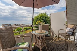 Seepferdchen Freetied