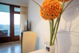 Ferienwohnung in Timmendorfer Strand - An der Waldkapelle 26 Waldblick - Bild 8