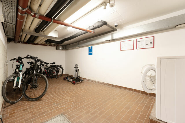 Ferienwohnung in Gr&ouml;mitz - Haus Meeresgru&szlig; Muschel - Bild 19
