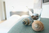 Ferienwohnung in Kellenhusen - Hamburger Straße 11 Strandlust - Bild 17