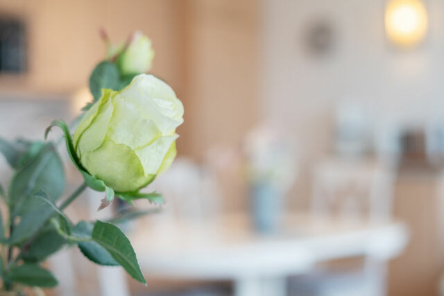 Ferienwohnung in Heiligenhafen - Haus Aquamarina K&uuml;stenruhe 11 - Bild 11