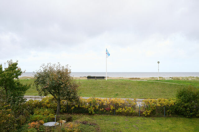 Ferienwohnung in Kalifornien - Deichweg 33 Ostseeliebe Kalifornien - Bild 2
