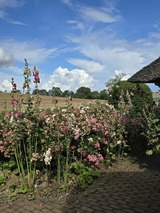 Ferienwohnung in &Ouml;lendorf - Urlaub unterm Reet - Bild 14