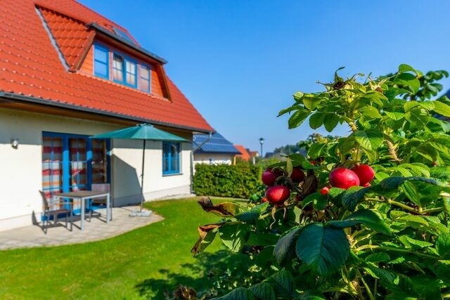 Ferienwohnung in Wohlenberg - Ferienwohnung Katharina EG - Bild 19