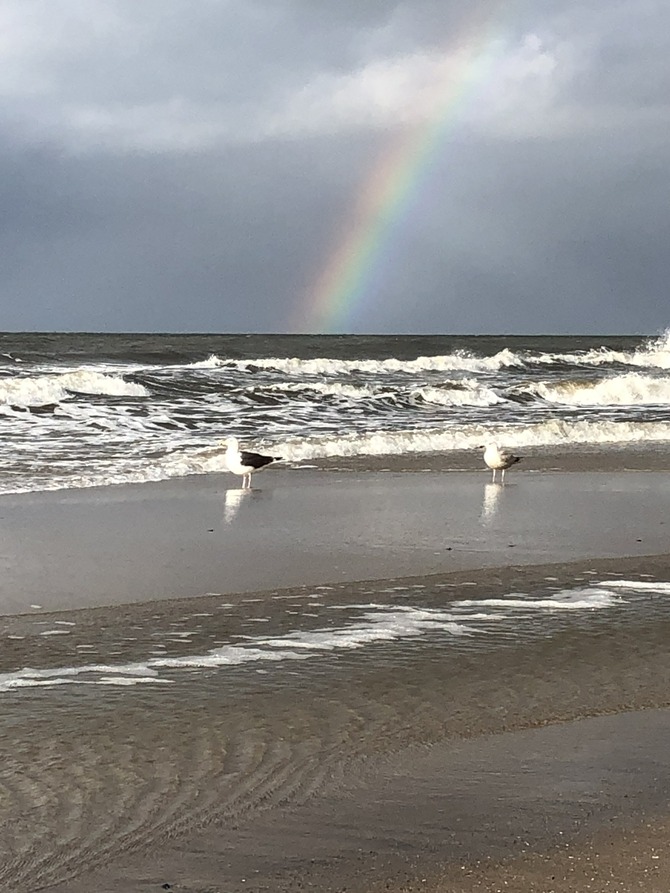 Ferienhaus in R&ouml;vershagen - Ferienhaus Piratenburg R&ouml;vershagen - Bild 25