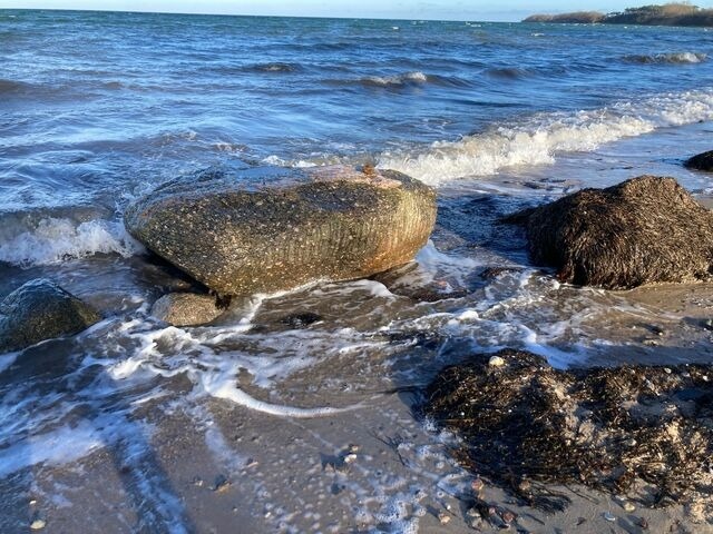Ferienwohnung in Hohen Wieschendorf - Ostsee-Panorama No. 4 - Aurora Vista - ABC568 - Bild 25