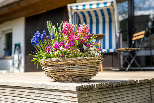 Ferienhaus in Lancken-Granitz - Ferienhaus Buttje - Bild 8