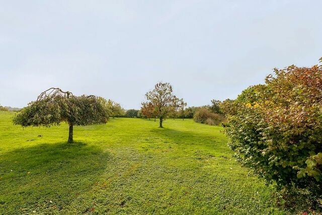 Ferienwohnung in Lancken-Granitz - Die gro&szlig;e Gr&uuml;ne - Bild 22