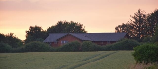 Ferienwohnung in Schaalby - Schaalby Hof "Wienstuv" - Bild 10