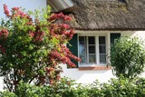 Ferienwohnung in Born a. Dar&szlig; - Moin Moin - Bild 11