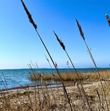 Ferienhaus in Nisdorf OT Altenpleen - FeHa Boddenperle NILO Nisdorf mit Sauna , Wallbox - Bild 6