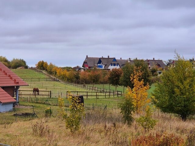 Ferienhaus in Zierow - Ferienhaus "Bernstein" - Bild 13