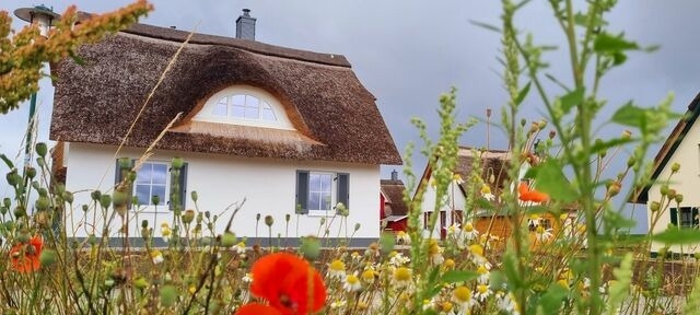 Ferienhaus in Zierow - Reethaus "53&deg; Nord" - Bild 10