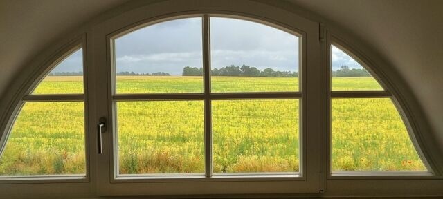 Ferienhaus in Zierow - Reethaus "53&deg; Nord" - Bild 12