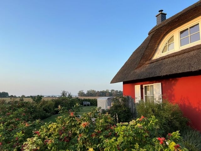Ferienhaus in Zierow - Reethaus "Seeadler" - Bild 2