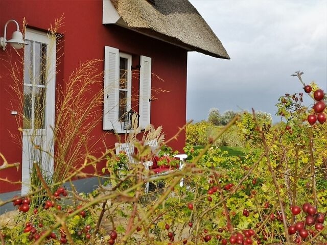 Ferienhaus in Zierow - Reethaus "Seeadler" - Bild 4