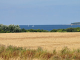 Ferienhaus in Zierow - Reethaus "Seeadler" - Bild 20