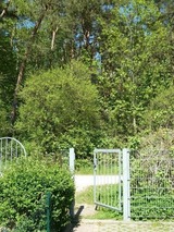 Ferienwohnung in K&uuml;hlungsborn - FeWo Leuchtturmblick - Bild 17