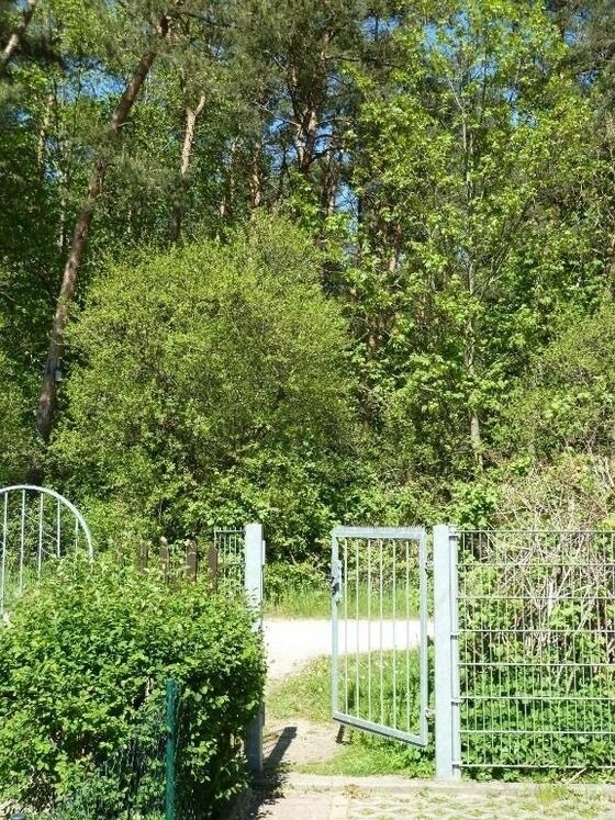 Ferienwohnung in K&uuml;hlungsborn - FeWo Leuchtturmblick - Bild 17