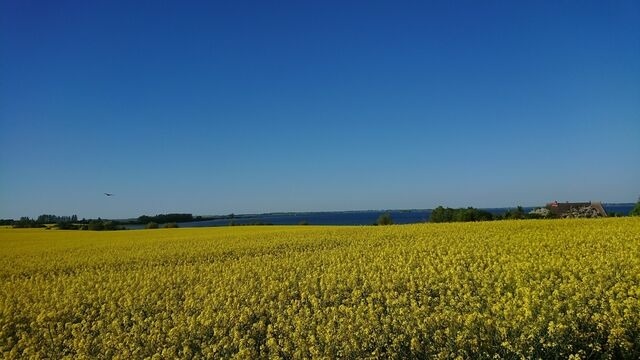 Ferienhaus in Zierow - Reethaus "Captains Hus" - Bild 22