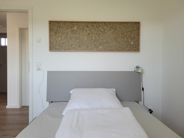 Ferienhaus in Zierow - Reethaus "Majupani" - Bild 11