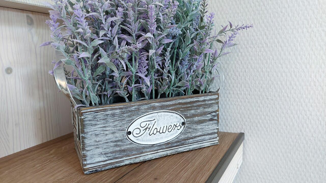 Ferienwohnung in Binz - Villa Jugendgl&uuml;ck - 90511 - Bild 15