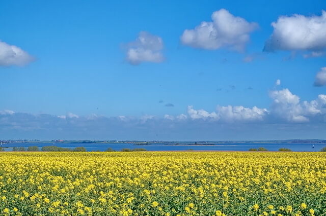 Ferienhaus in Zierow - Reethaus "Goldmarie" - Bild 18