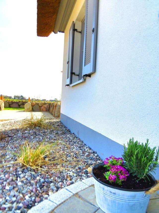 Ferienhaus in Zierow - Reethaus "Goldmarie" - Bild 23