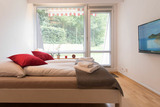 Ferienwohnung in Schilksee - Cooler Hund - Bild 4