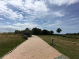 Ferienwohnung in Fehmarn OT Burgtiefe - Backbord traumhafter Meerblick direkt am Strand - Bild 17
